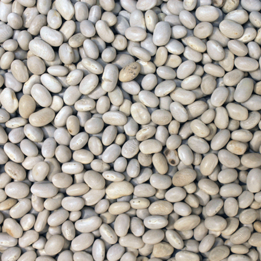 Haricot Beans